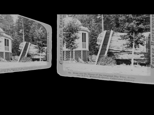 House over a stump, Calaveras CA 1870 (VR 3D still-image)