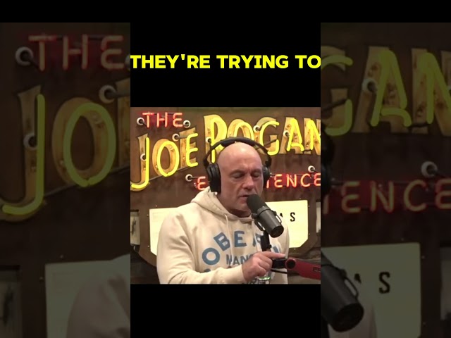 Best of Joe Rogan Experience with Mark Zuckerberg || 10-01-2025