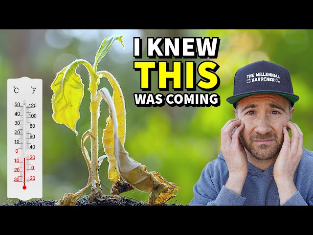 They Tried To KILL My Garden! Here's What Happened.