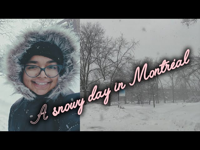 A snowy day in Montréal | Life in Canada winter