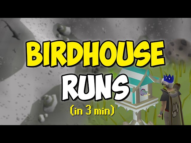 Birdhouse Runs in 3 minutes (Quick Guide)