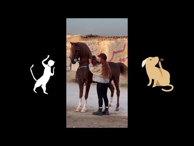 NAIK DELMAN (KUDA) LAGU ANAK ANAK INDONESIA 🐎🐎🐎 #laguanakindonesia #naikdelman #lagu