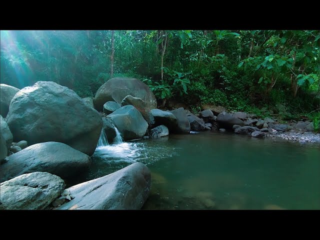 Relaxing River Flow, Soothing Water Sounds for Yoga, Spa & Sleep Therapy | Stress-Free Mind