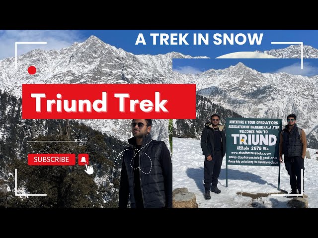 Triund Trek in A Snow l 2025lDharamshala Best trek l l cafe, Snow, Where to start l