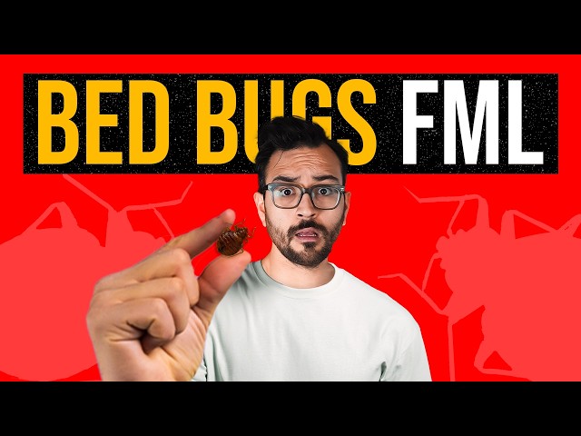 Bed bugs and my Airbnb HELL week