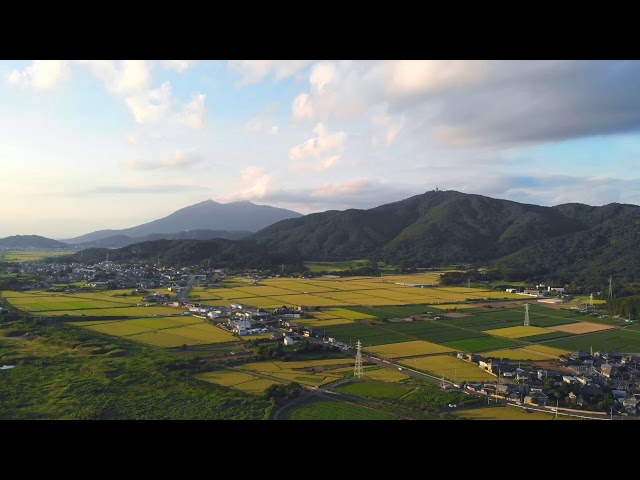 稲穂が実る筑波山周辺 ドローン空撮 4K