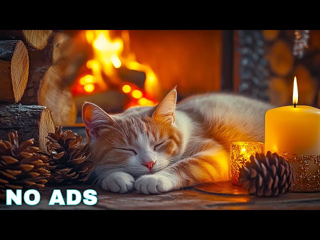 Calming music for cats with anxiety 🎵 Cozy ambience winter rest with piano music | Fireplace No Ads