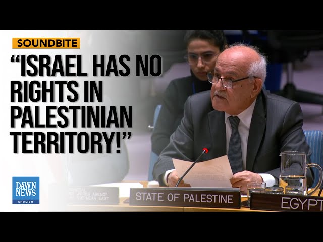 No Alternative To Palestinian Govt And UNRWA, Says Palestinian Envoy To UN | Dawn News English