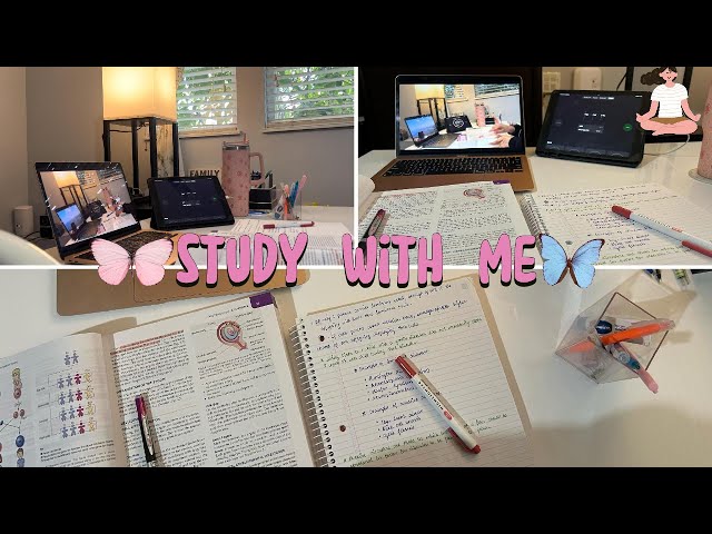 🦋1-Hour study with me | calm study music |ch.16|sunny day|productive study session|@Neenusbasiclife‬