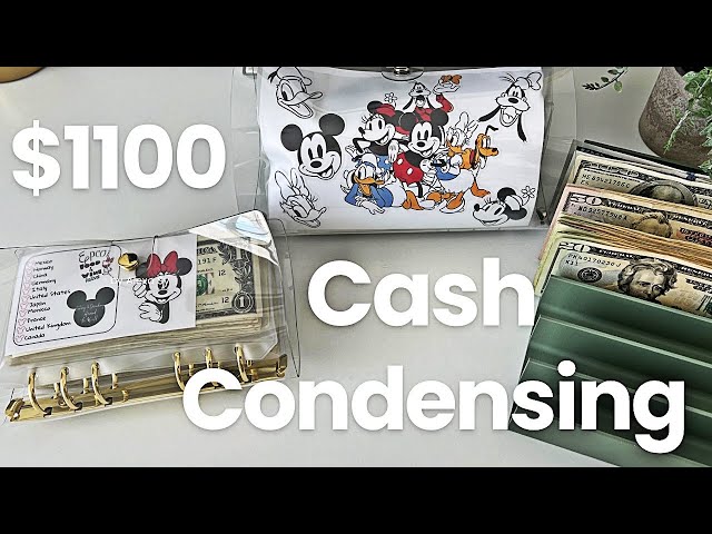 Cash Condensing|$1100| I can’t believe how much I saved|#savingmoney #bank #save