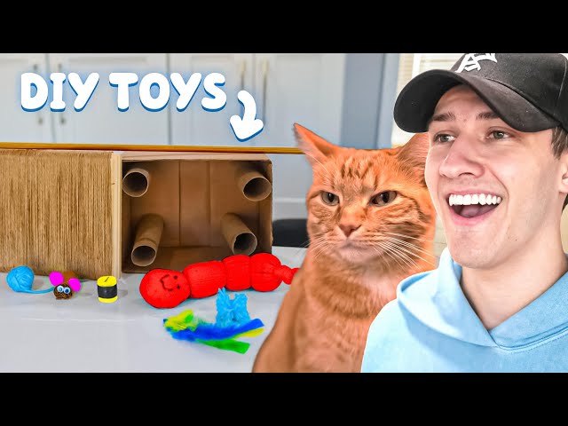 Kurt Tries Every DIY Cat Toy