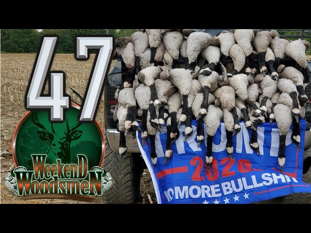 Crazy Goose Shoot | Early Season | #Keepgoosehuntinggreat