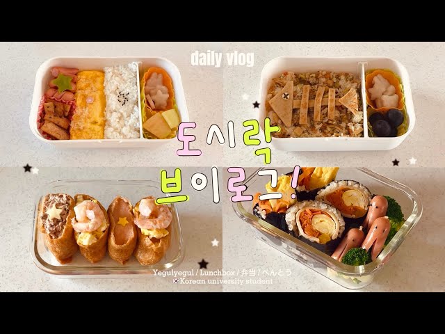 🇰🇷 What kind of lunch boxes should Korean college students bring? 🍱 Korean food and lunch boxes🧃