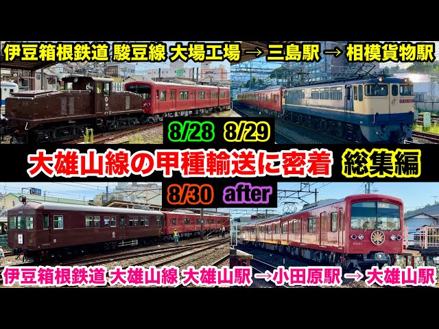 【総集編】伊豆箱根鉄道大雄山線の甲種輸送に密着 【駿豆線大場工場→大雄山線大雄山駅】