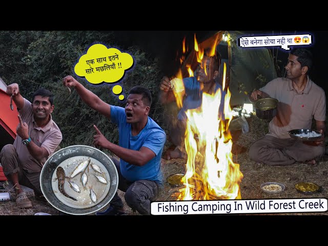 Fishing Camping In Wild Forest Creek | Delicious Campfire Cooking | Camping Videos #vlog