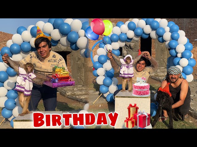 Jimmy Ki Birthday Party Celebrate Ki 🥳