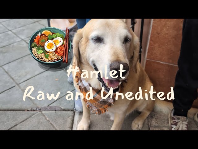 🍲😮‼️RAMEN⁉️YUMMY, BUT NONE FOR DOGS ‼️ 📹 RAW AND UNEDITED ‼️ VIDEO 21