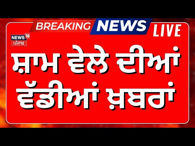 Evening News LIVE| ਸ਼ਾਮ ਦੀਆਂ ਵੱਡੀਆਂ ਖ਼ਬਰਾਂ | Today Punjabi News | Sidhu Moosewala | Delhi Elections |