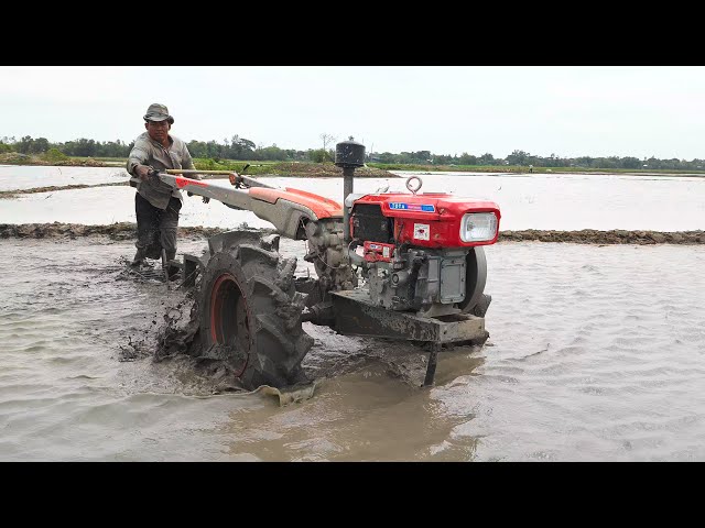 Plowing Farmland By Mini Tractor Before Spraying Rice Seeds [ 4K HDR 10 + ] #31 - CAM FARM