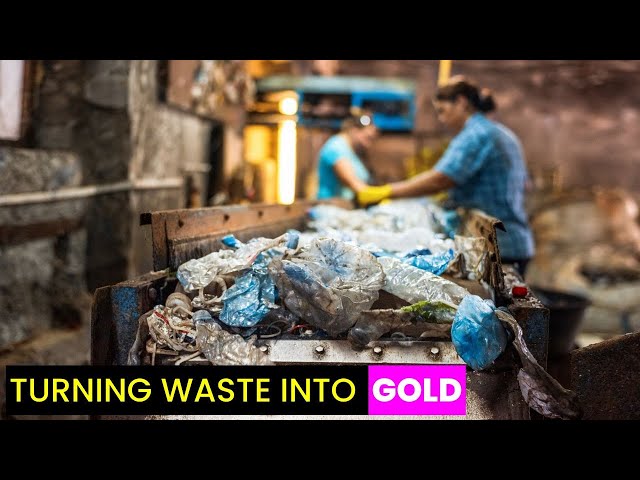 Recycling Made Efficient | Future Technology & Science News 523