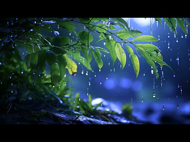 Best Rain Sounds For Sleep - 99% Fall Asleep With Rain And Thunder Sounds At Night |For insomnia