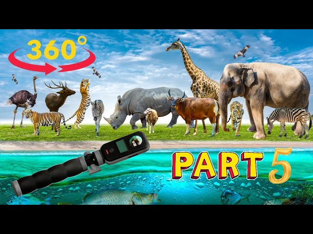 360° Thrissur Zoo And Museum Part 5 #sarath_tv #tourism #zoo #museum #kerala #trip #travel