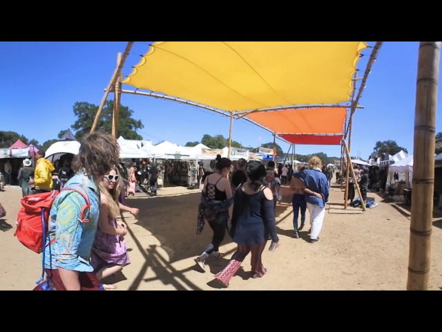 360 Lucidity Festival Experience