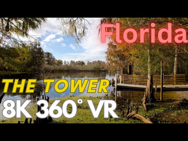 Relaxing Walk | The Tower | 8K | 360°| VR | Tampa Florida 2024 | Season 1 EP 5