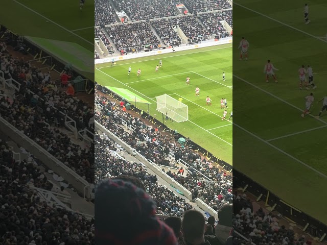 Newcastle Free Kick v Arsenal (2-0) #fyp #tiktok #shorts #football #arsenal #newcastle #sports