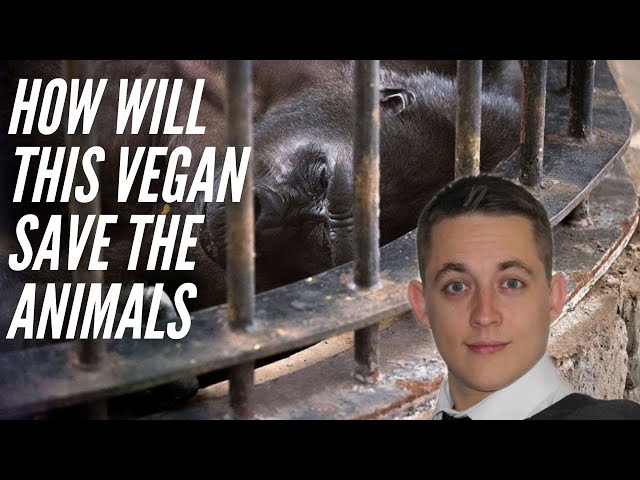 VEGAN ACTIVIST | How Peace with Rhys is rocking YouTube