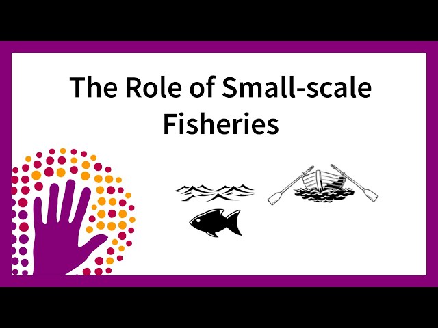 The Role of Small-scale Fisheries