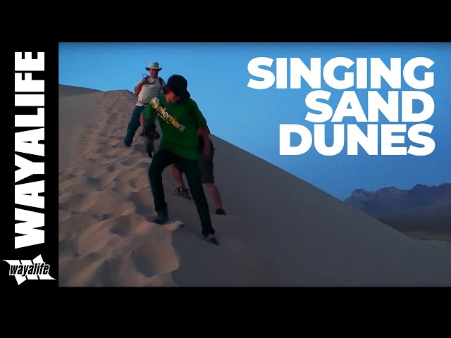 Kelso Dunes Singing Sand at Mojave National Preserve