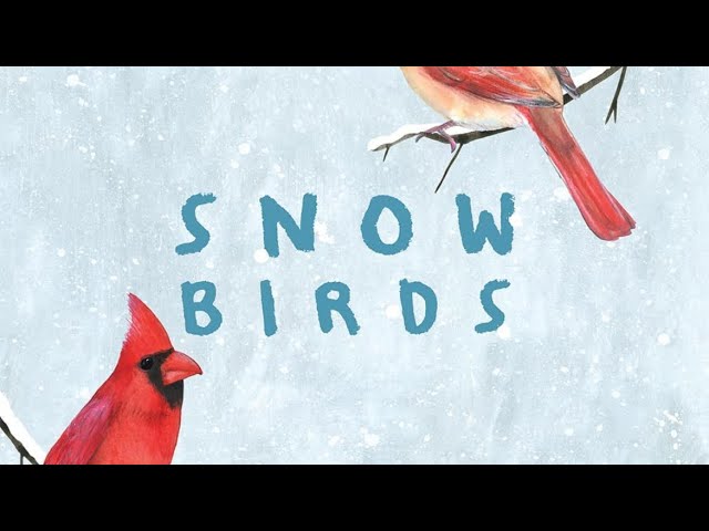 SNOW BIRDS | RESILIENCE & CHARM OF WINTER BIRDS | LYRICAL TEXT | SPARKS CURIOSITY | #readaloud #esl