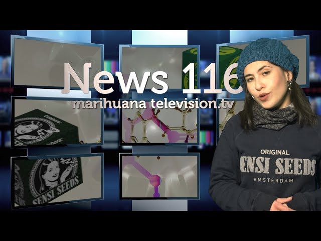 MARIHUANA Y LEY MORDAZA. SPANNABIS 2022 y EXTRACCIONES de CANNABIS con LICENCIA en COLOMBIA News 116