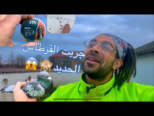 توليعة مسائية في الحمام الزاجل السويدي وتجربة Hornet🙈😱