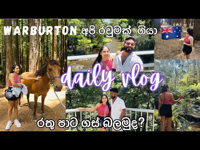 අපි මේ weekend එකේ කොහෙද ගියේ🤔? | Warburton | රතුපාට ගස්වල ලස්සන බලමු 🌴🍂 | Travel Vlog Australia 🇦🇺