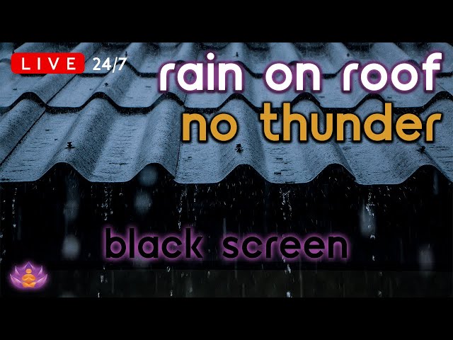 🔴 [LIVE 24/7] Rain on Tin Roof | Rain Ambience No Thunder | Rain Sounds for Sleeping [Black Screen]