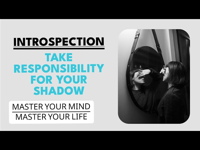 The Law of the Mirror: Take Responsibility for your SHADOW.