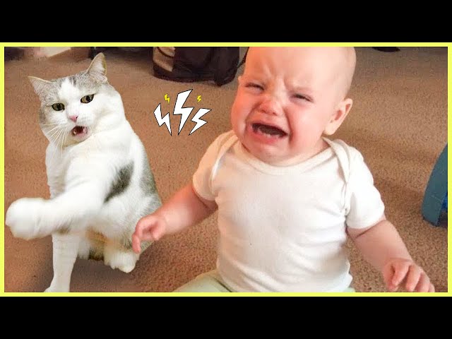 Funniest Baby And Cat Are Best Friends || 5-Minute Fails