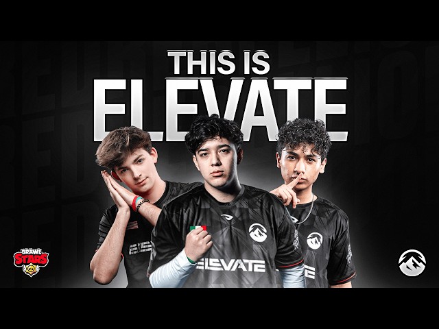 Meet Elevate Brawl Stars. First Interview