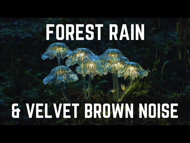 FOREST RAIN AND VELVET BROWN NOISE | 12 hours | Black Screen | No Midway Ads