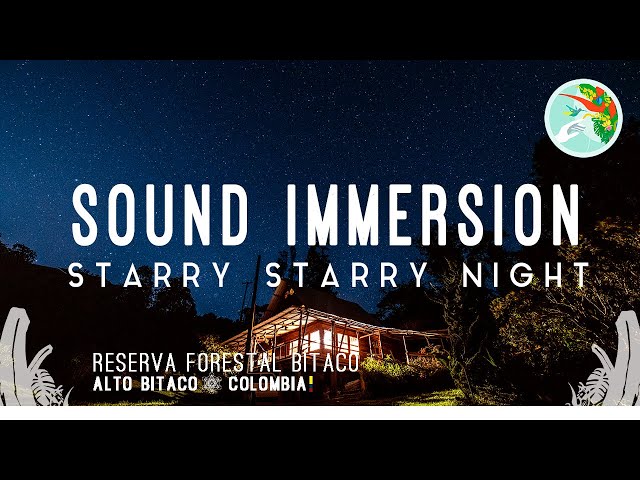 Natural Night Sounds of Origin in Colombian Rainforest | Sleep Aid I  Insomnia relief  I ASMR