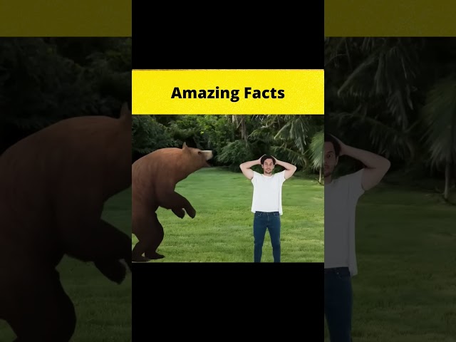 Amazing facts🤯 #facts #factbeast #fact2beast #amazingfacts #interestingfacts #hindifactshorts