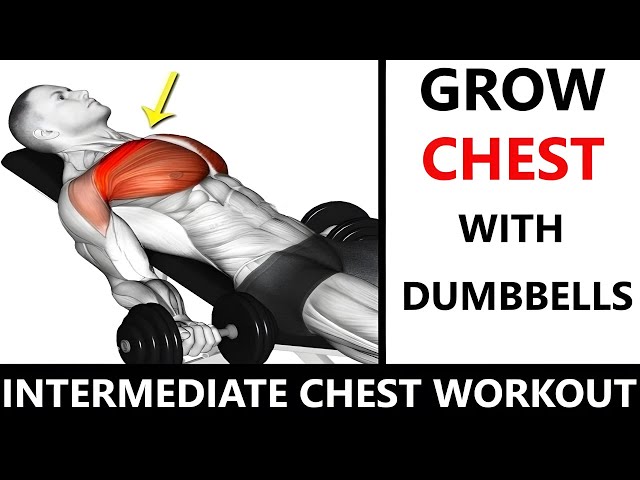 INTERMEDIATE CHEST WORKOUT  MUSCLE BUILDING WORKOUT  DUMBBELL CHEST WORKOUT