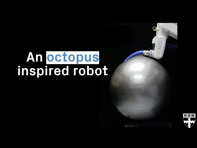 Octopus-inspired soft robot