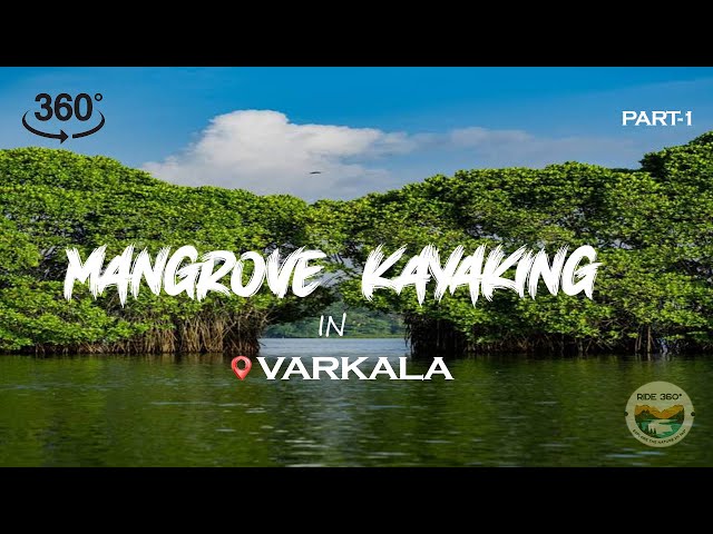 Varkala Kayaking in Mangrove Forest 360