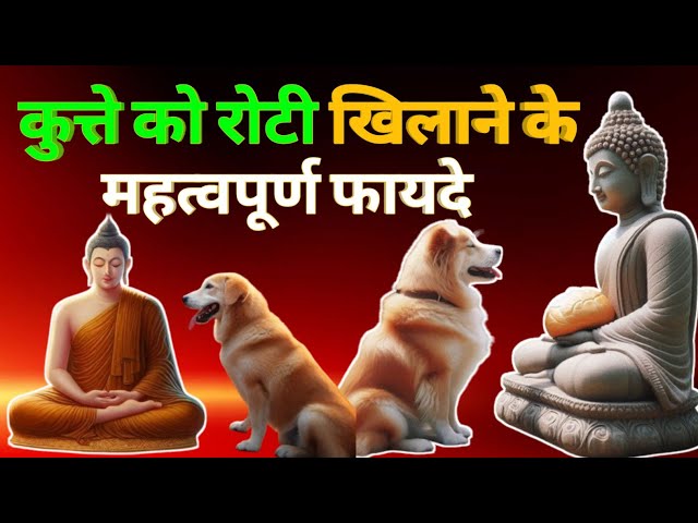 कुत्ते को रोटी खिलाने के महत्वपूर्ण फायदे || Buddha Motivational story || Inspired buddha Story