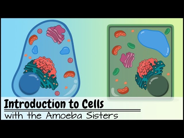 Introduction to Cells: The Grand Cell Tour