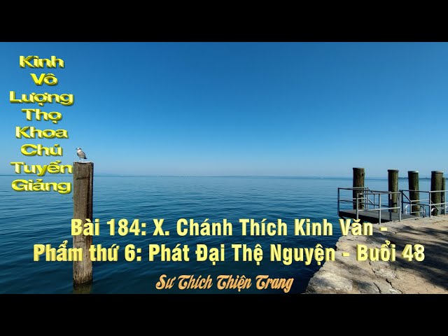 184- Kinh Vô Lượng Thọ Khoa Chú Tuyển Giảng- Kinh Văn Phẩm Thứ Sáu - Buổi 48| Thích Thiện Trang