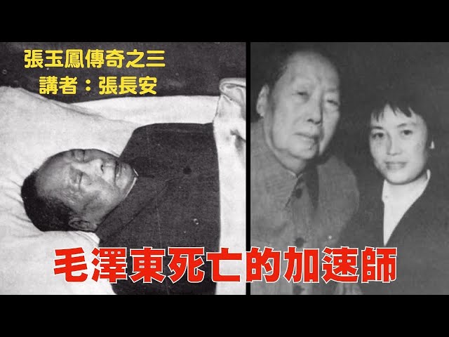 毛病醫不好，宮廷內鬥是最重要原因！玉鳳瞎指揮，竟是魔頭死亡加速師！（張玉鳳傳奇之三）2023年10月15日